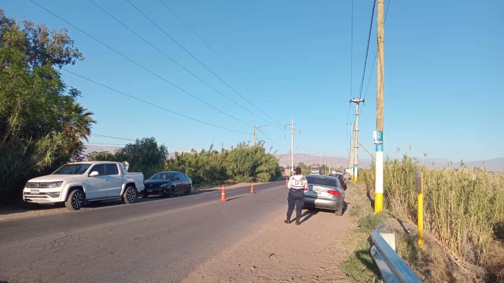 13 autos radiados, conductores demorados y un boliche clausurado tras una fiesta de Halloween en el Médano