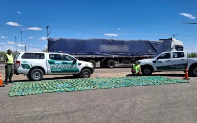 Gendarmería secuestró más de 300 kilos de droga en un control sobre Ruta 141
