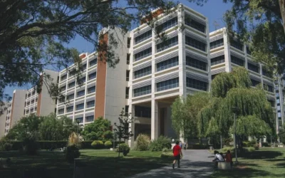 Confirmaron un asueto administrativo los días 24 y 31 de diciembre