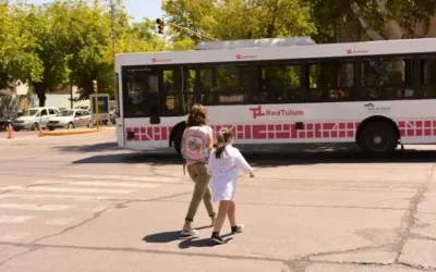 El Ministerio de Gobierno informó hasta cuándo estarán vigentes el Boleto Escolar y Docente Gratuito