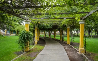 El Gobierno licita nuevas obras en el Parque de Mayo: más sanitarios y hasta un nuevo kiosco