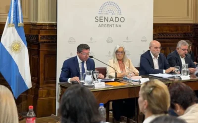 En el Senado, Orrego defendió la Ley de Glaciares ante las comisiones