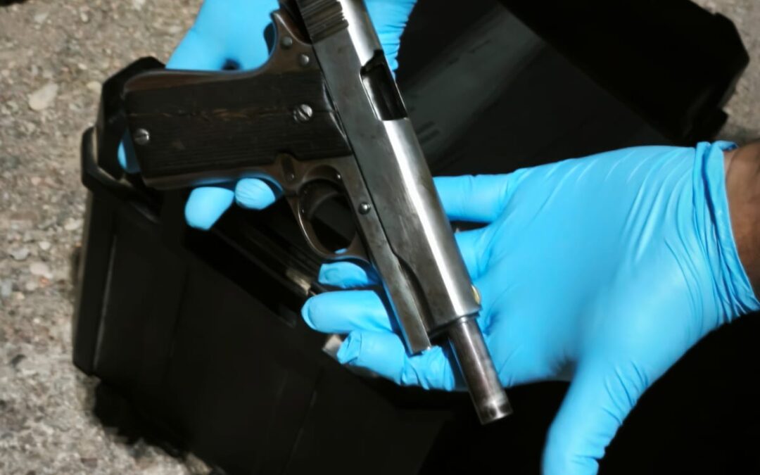 Santa Lucía: cuatro detenidos tras un operativo policial con secuestro de armas, drogas y dinero