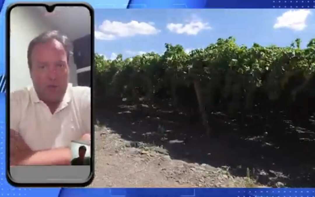 Habilitaron una línea de crédito con tasa subsidiada para productores agrícolas