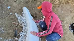 Descubrieron en Miramar un colmillo fósil de más de 100.000 años de antigüedad