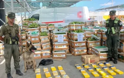 “Así se corta la ruta del narcotráfico”: una funcionaria de Milei se refirió al hallazgo de cocaína en bananas en San Juan