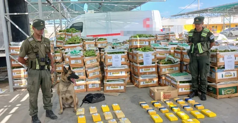 “Así se corta la ruta del narcotráfico”: una funcionaria de Milei se refirió al hallazgo de cocaína en bananas en San Juan
