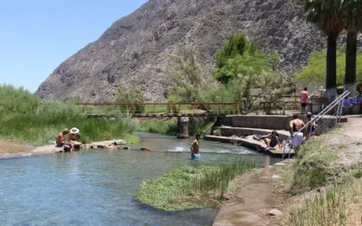 Montaron un amplio despliegue para rescatar a un perro que quedó atrapado en un cerro en Jáchal