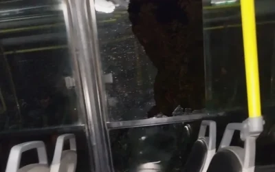 Un colectivo de la Red Tulum sufrió roturas tras un ataque con piedras en Pocito