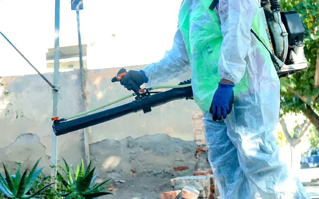 La Municipalidad de la Ciudad de San Juan realizará un operativo integral de control de plagas