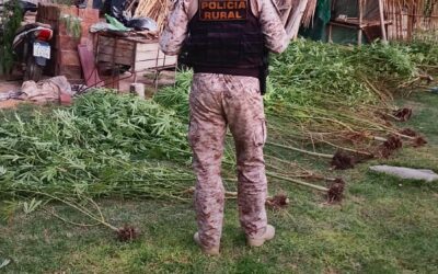 Operativo en San Carlos permitió rescatar aves autóctonas y reforzar controles rurales