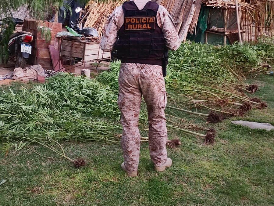 Operativo en San Carlos permitió rescatar aves autóctonas y reforzar controles rurales