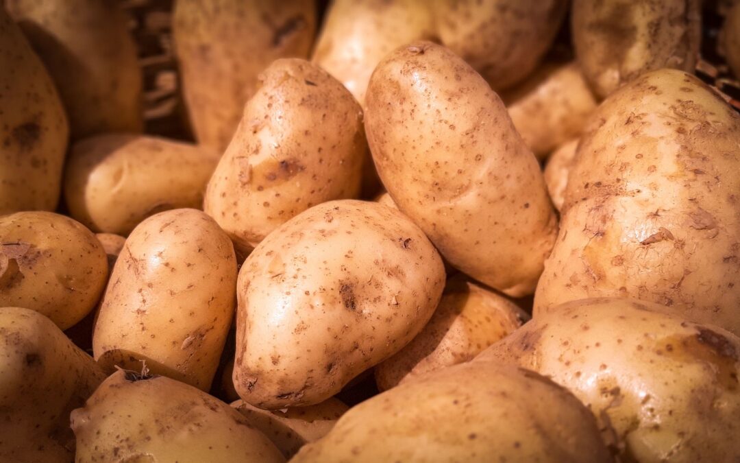 Feria y Mercado de Abasto: precios actualizados con opciones accesibles para la mesa sanjuanina