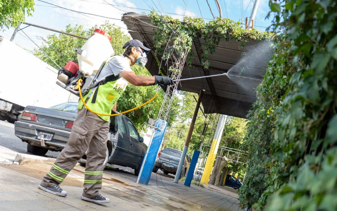 Capital anunció un nuevo cronograma de mantenimiento de arbolado público y de desinsectación