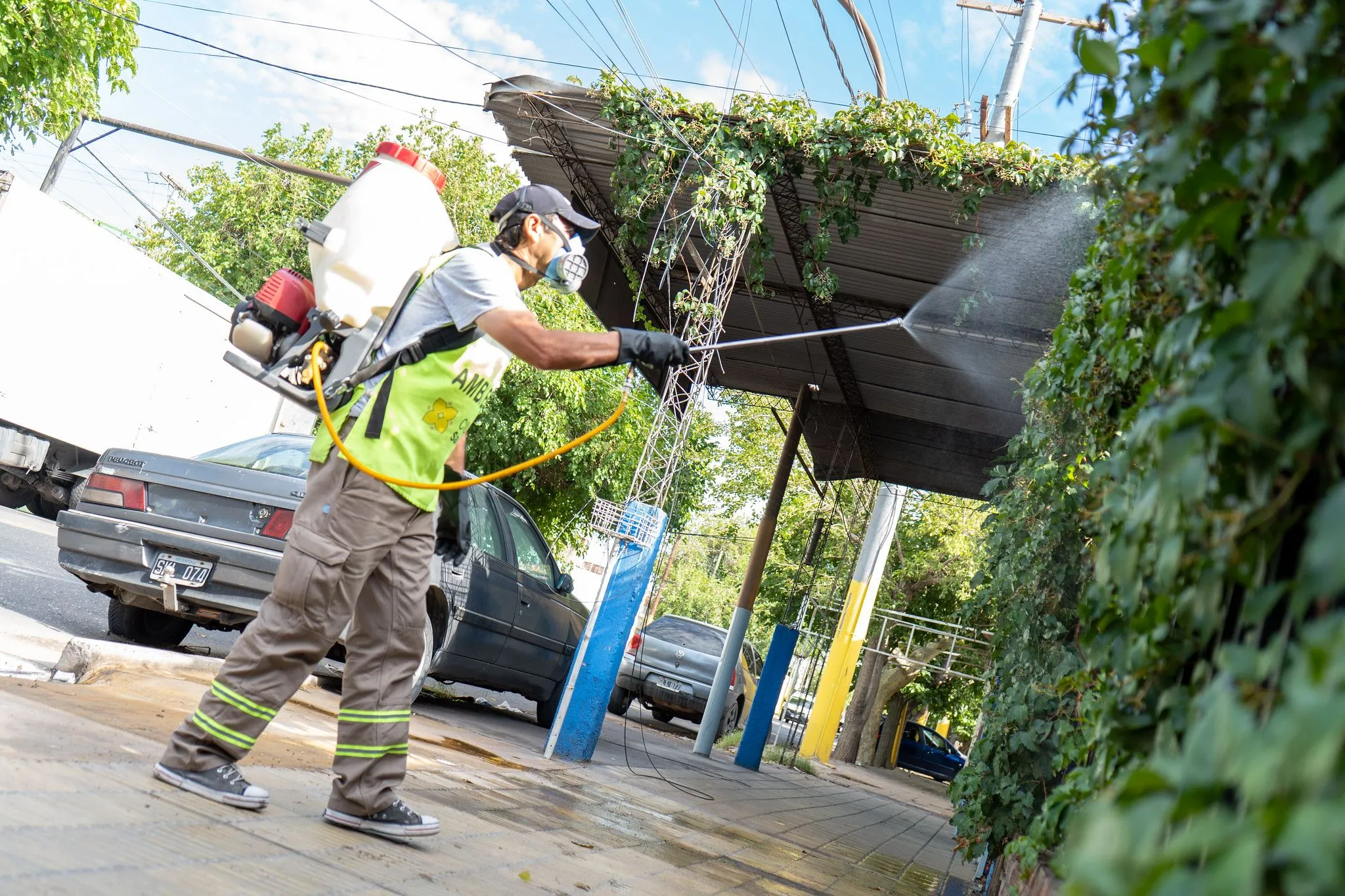 Capital anunció un nuevo cronograma de desinsectación y desratización
