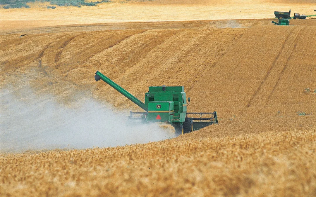La economía inició el 2026 con crecimiento impulsado por el agro y la minería