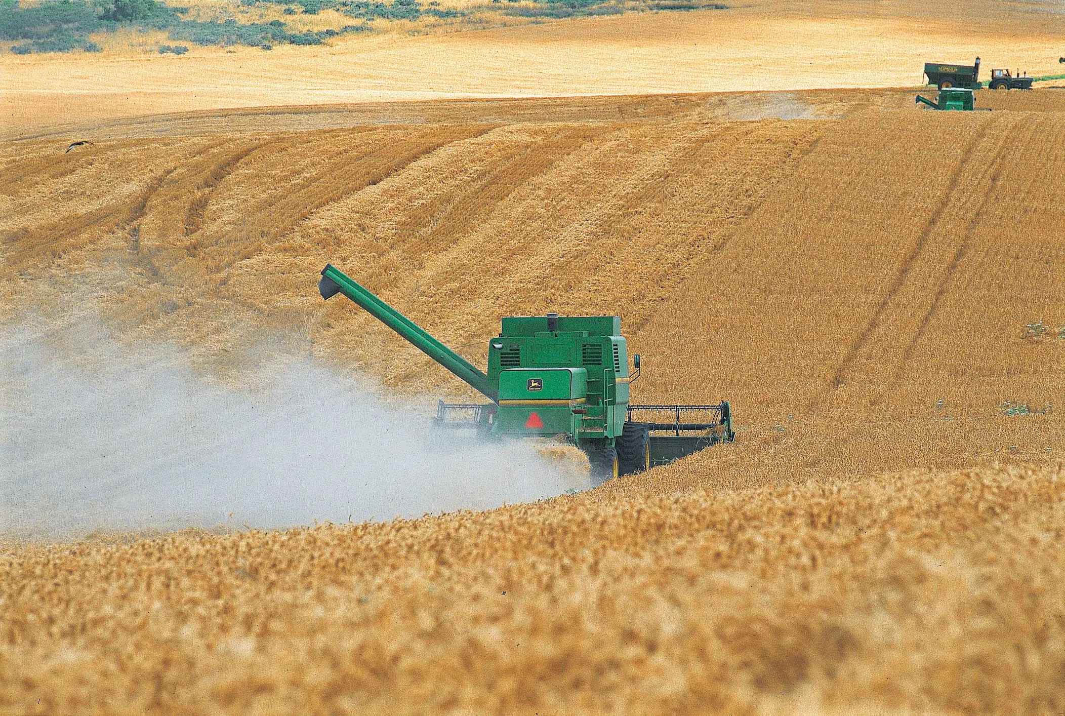 La economía inició el 2026 con crecimiento impulsado por el agro y la minería