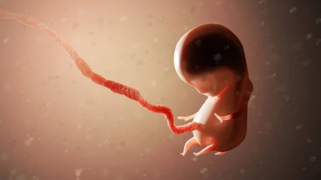 Luxemburgo es el segundo país en constitucionalizar la libertad de abortar