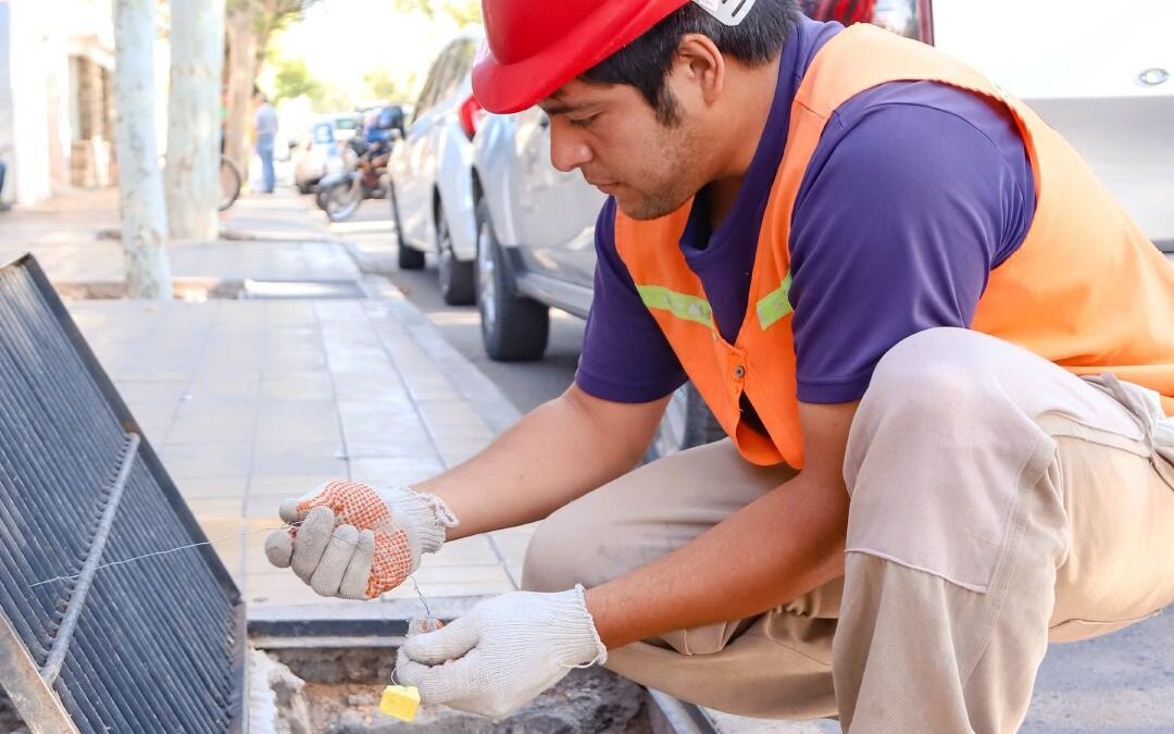 Capital anuncia el cronograma de desinsectación, desratización y educación ambiental