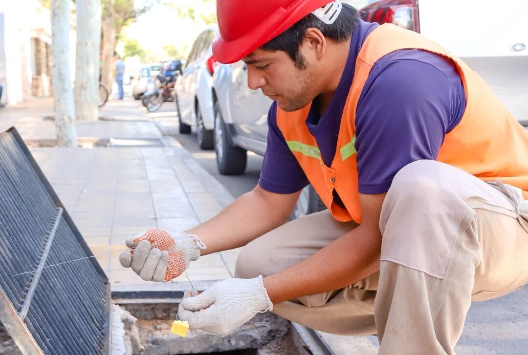 Capital anuncia el cronograma de desinsectación, desratización y educación ambiental