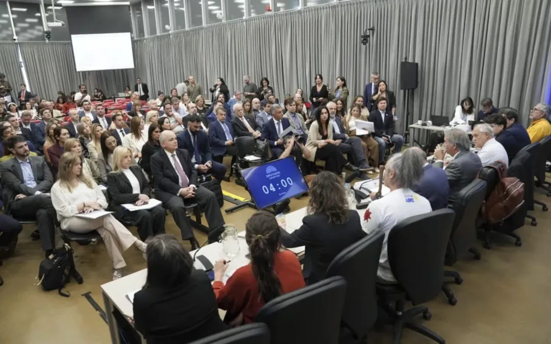 Ley de Glaciares: hoy arranca la segunda audiencia en formato virtual