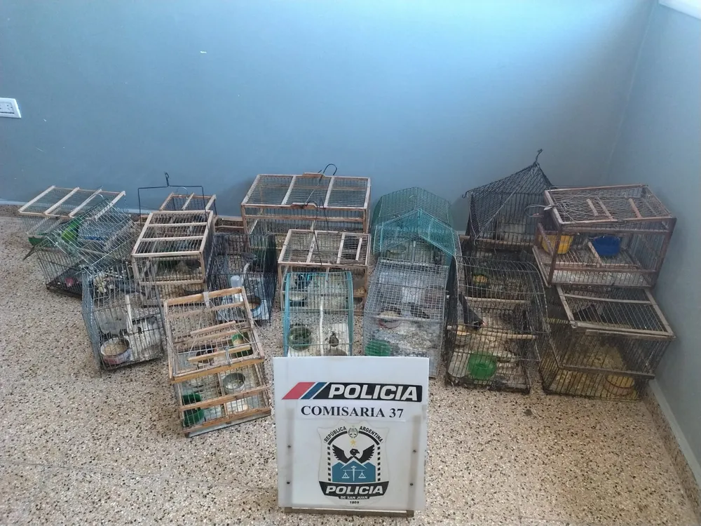 Rescataron aves silvestres en cautiverio tras un operativo en Caucete