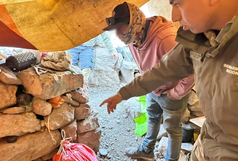 Gendarmería secuestró más de 3.600 semillas de marihuana en un control en la cordillera de San Juan
