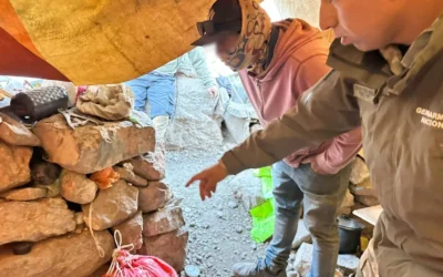 Gendarmería secuestró más de 3.600 semillas de marihuana en un control en la cordillera de San Juan