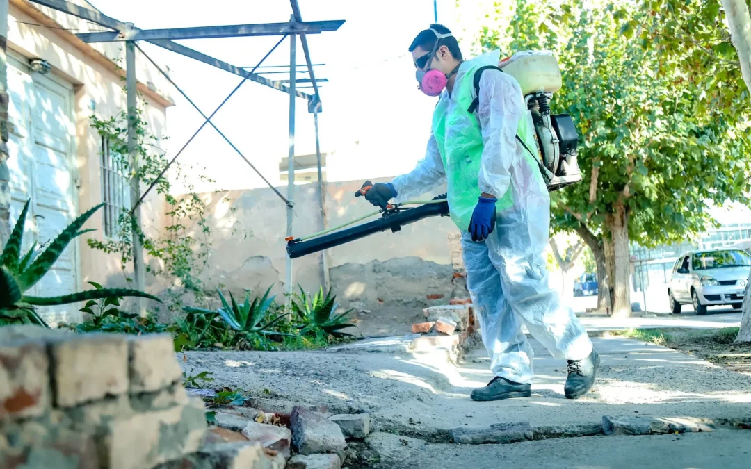 Capital informa los operativos de fumigación y mantenimiento del arbolado de la semana