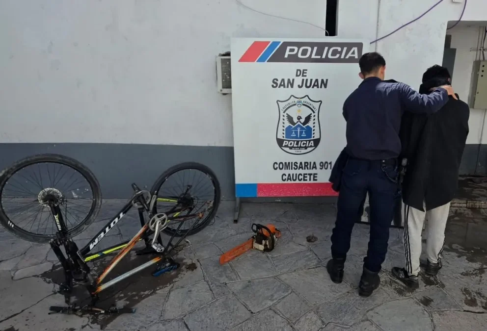 Caucete: descubrieron cultivos de marihuana en allanamientos por robos y un hombre fue detenido