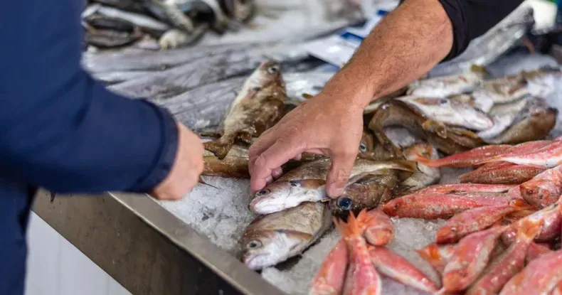 Estafaron a una comerciante en Rawson y perdió más de $5 millones por una falsa transferencia
