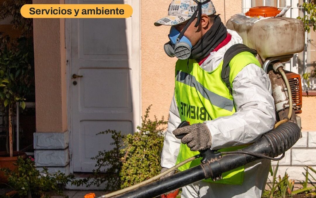 Capital informa el cronograma semanal de desinsectación y desratización
