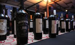 Presentaron “Viticultura 360 San Juan”, una propuesta participativa para fortalecer al sector vitivinícola