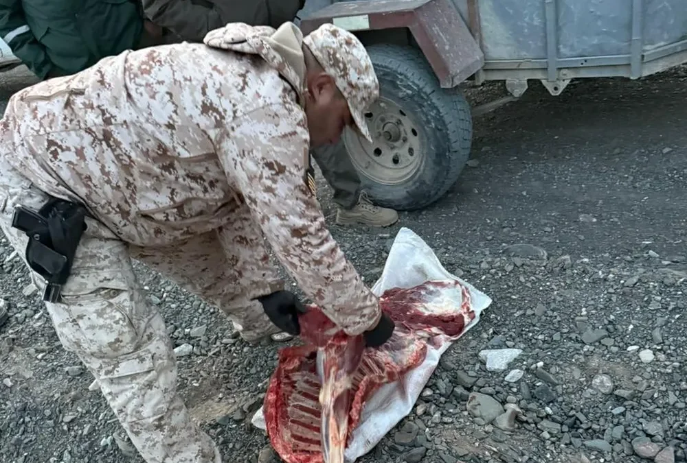 Ruta 153: pararon a una combi en un operativo y encontraron carne de guanaco y cuchillos de faena
