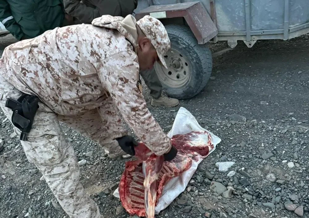 Ruta 153: pararon a una combi en un operativo y encontraron carne de guanaco y cuchillos de faena