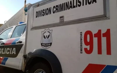 Un hombre de 73 años murió mientras cortaba árboles en un descampado de Pocito