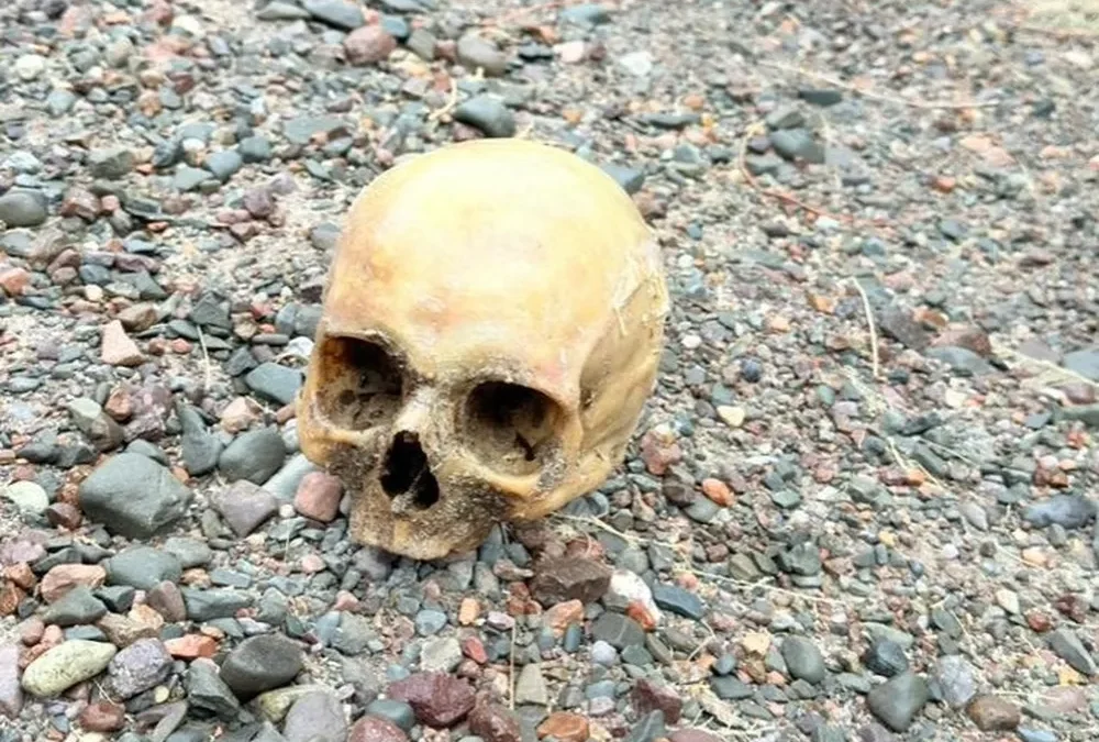 Hallaron un cráneo humano cerca del dique Punta Negra y la Justicia investiga cómo llegó al lugar