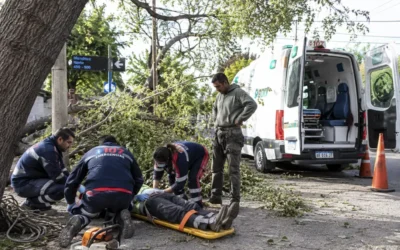 Murió el operario que había caído de un árbol durante una poda en Capital