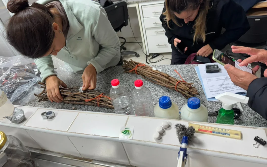 San Juan incorpora variedades de vid libres de virus para mejorar la productividad y diversificar su oferta