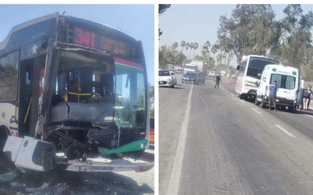Ruta 20: trece personas resultaron heridas tras un choque entre un colectivo y un camión de chanchos