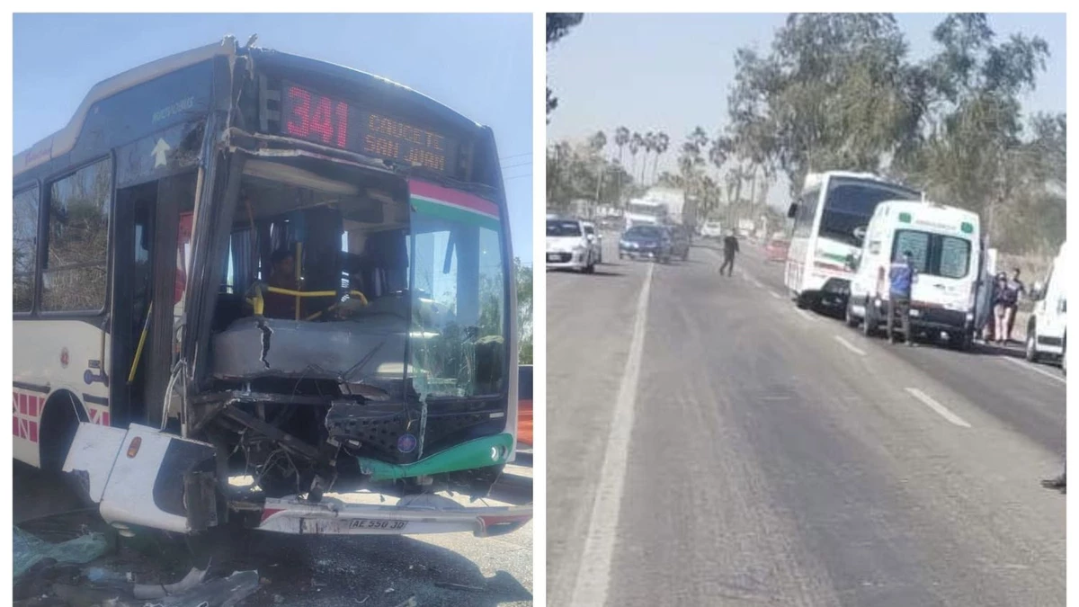El siniestro involucró a una unidad de la Línea 341 de la Red Tulum y a un vehículo que transportaba cerdos. Diez pasajeros fueron derivados al Hospital Rawson y otros tres al Hospital César Aguilar.