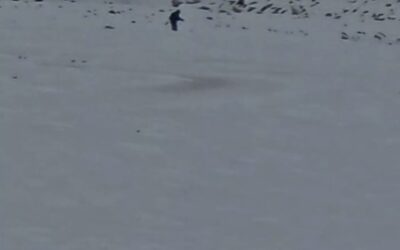 Manantiales amaneció completamente nevado y volvió a mostrar su postal más invernal