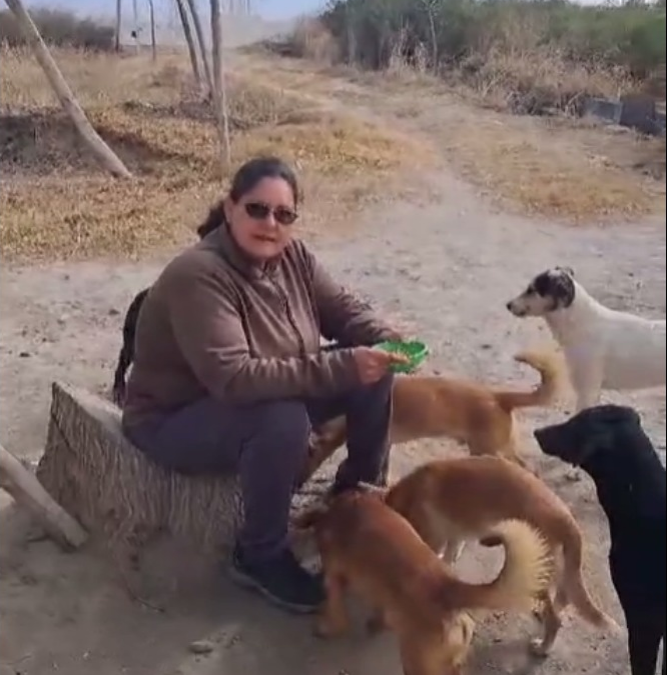 Piden ayuda para que Marta pueda conservar a sus perros