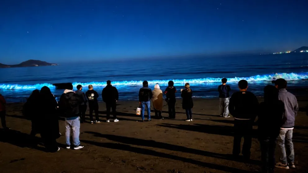 Un destino turístico elegido por sanjuaninos deslumbra por el fenómeno de la bioluminiscencia en sus playas