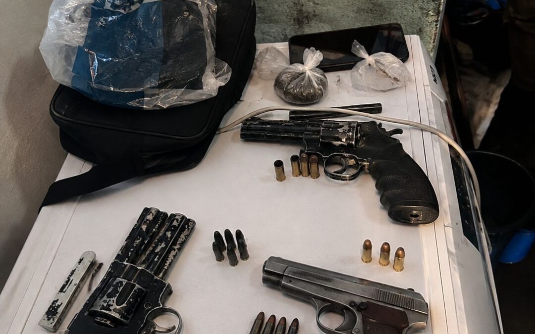Allanaron una vivienda en Chimbas por robos investigados en Rivadavia y secuestraron armas, municiones y plantas de cannabis