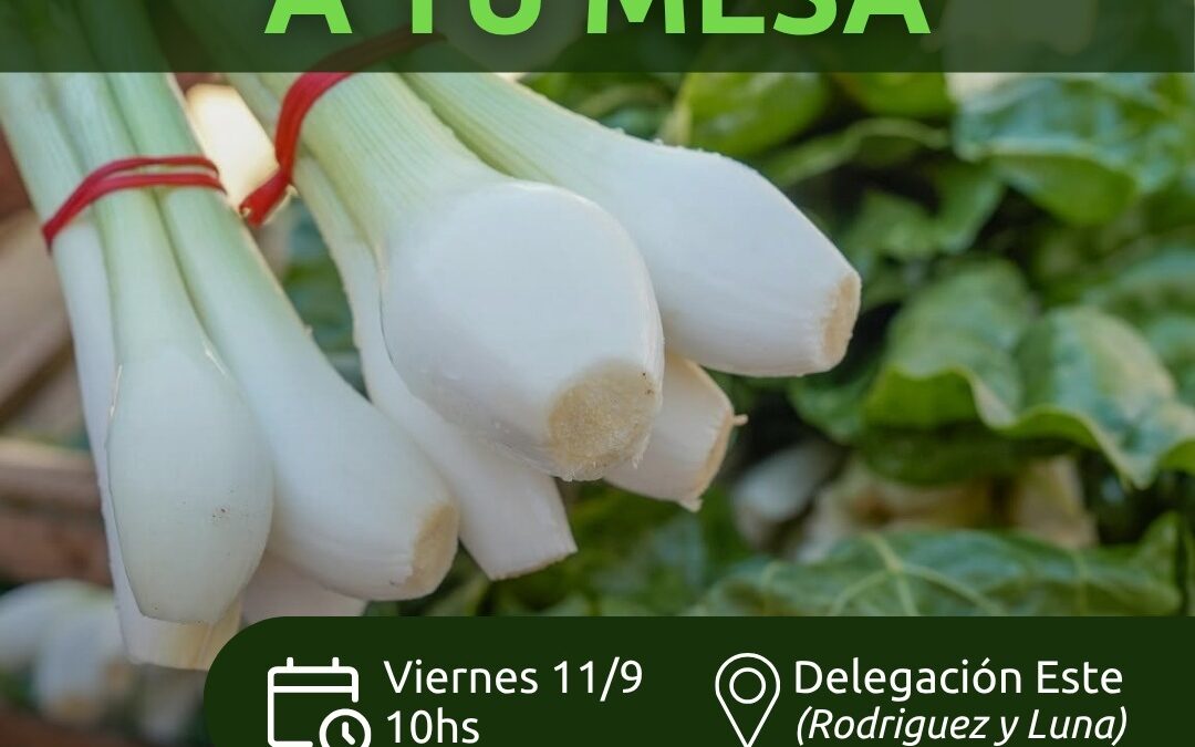 Chimbas realizará una nueva edición de la Feria Agroproductiva “De la Chacra a tu Mesa”