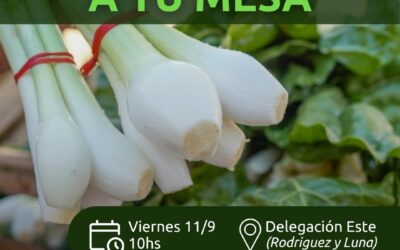 Chimbas realizará una nueva edición de la Feria Agroproductiva “De la Chacra a tu Mesa”