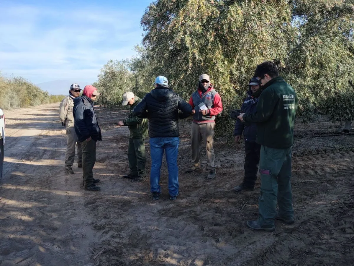Unos 70 cosechadores se retiraron durante un operativo que detectó graves irregularidades laborales en una finca de Sarmiento