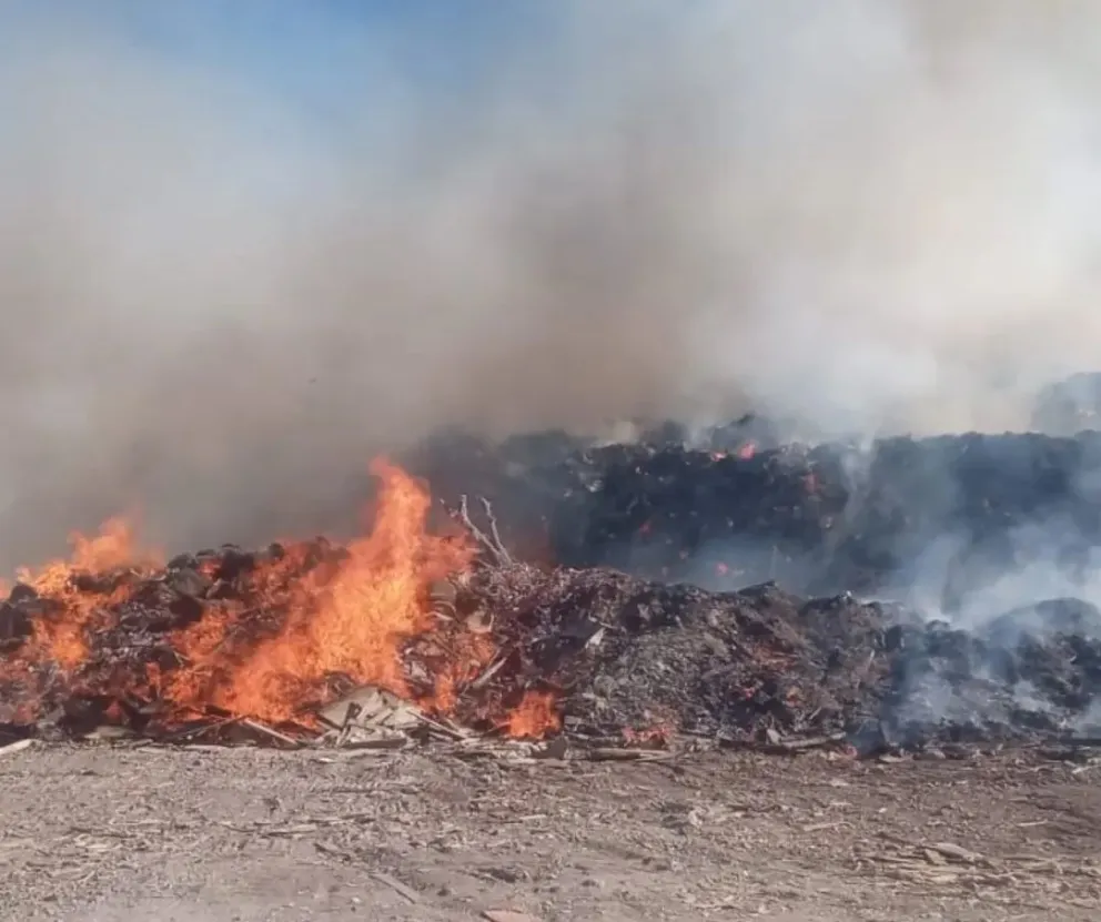 Hubo más de 60 intervenciones de Bomberos en San Juan por el viento zonda
