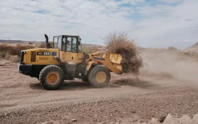 Avanzan los trabajos para acondicionar el Dique de Ullum de cara al verano